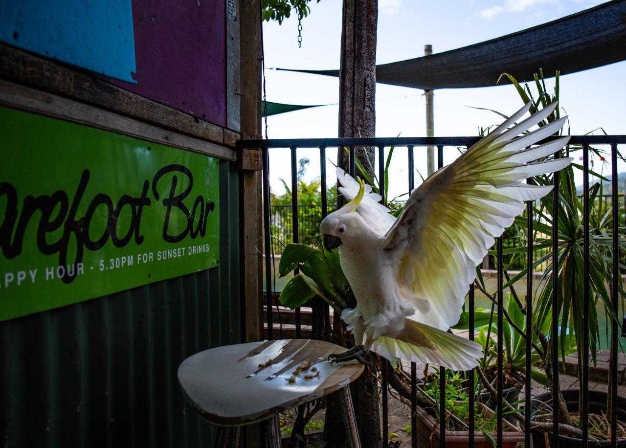 Backpackers By The Bay Hostel Airlie Beach Ngoại thất bức ảnh