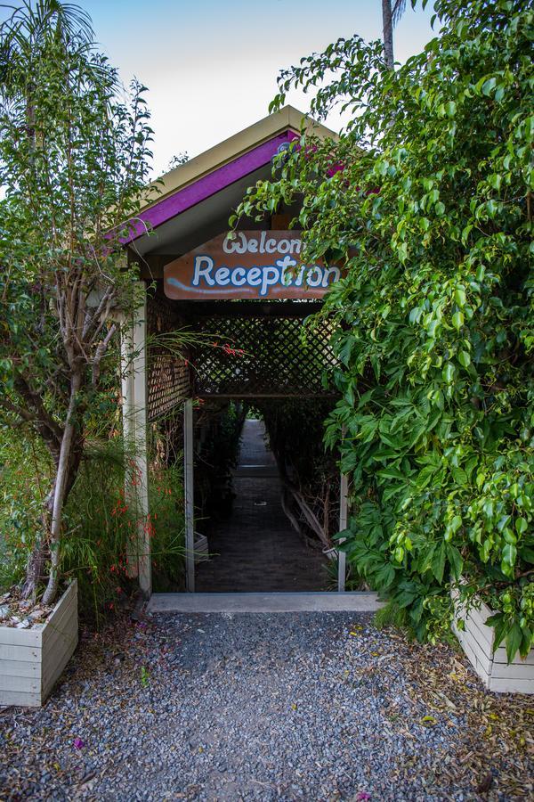 Backpackers By The Bay Hostel Airlie Beach Ngoại thất bức ảnh